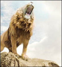 aslan-roaring