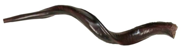 shofar2