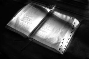 bible