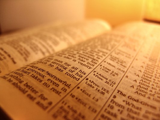 bible2