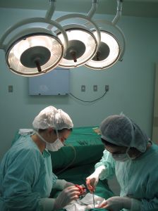 nurses