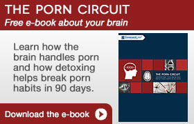 The Porn Circuit
