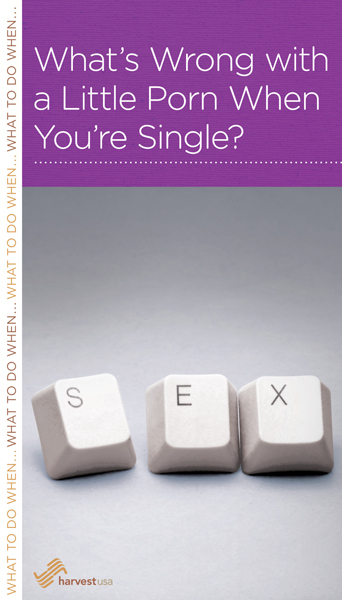 342px x 600px - What's Wrong with a Little Porn When You're Single? - Harvest USA Book