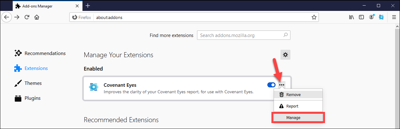 What are the Covenant Eyes browser extensions?