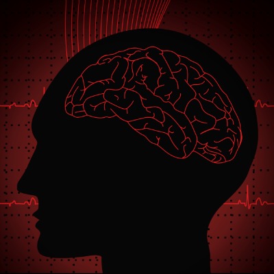 drawing of brain