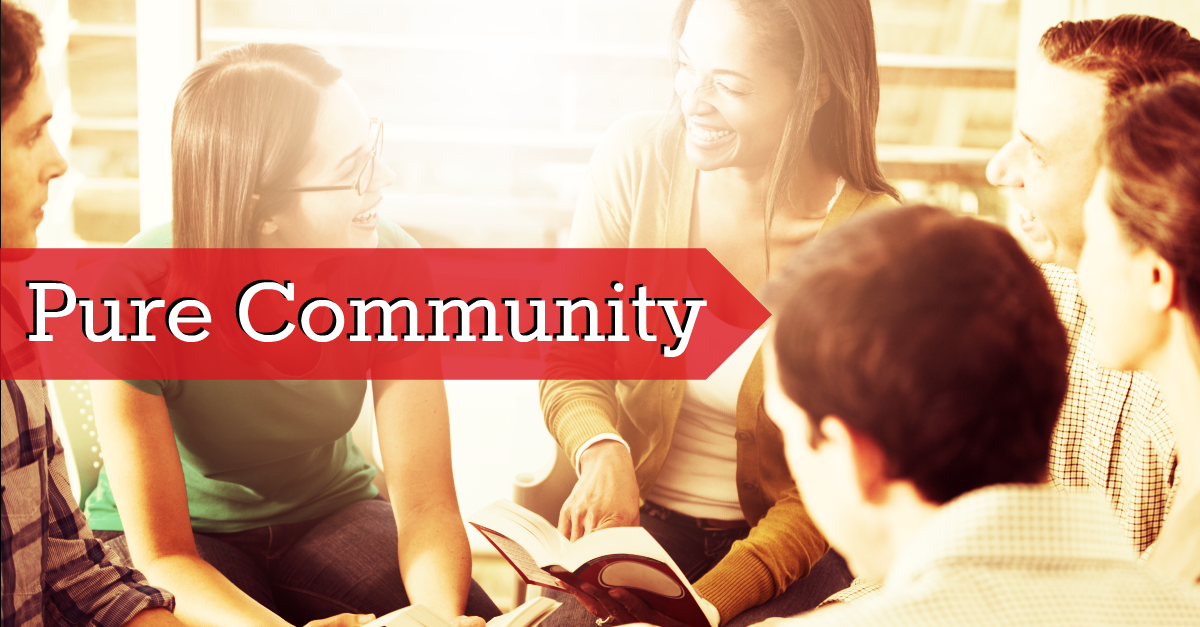 Pure Community - Online Directory