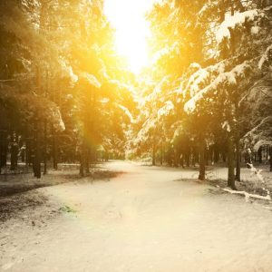 Image for article: Covenant Eyes Closed for Christmas Eve and Christmas Day