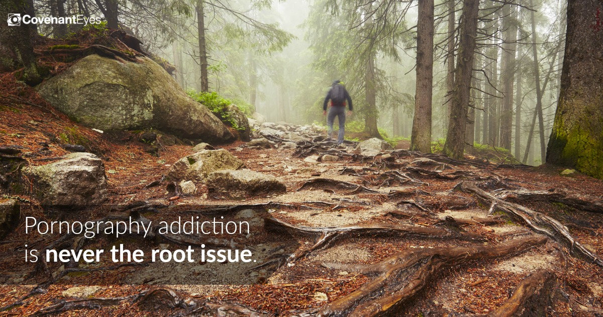 Porn addiction never the root issue