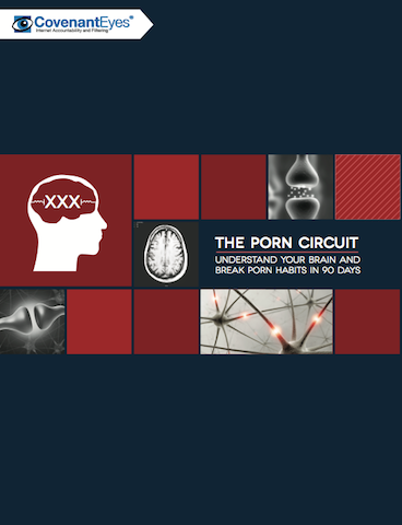 The Porn Circuit book cover
