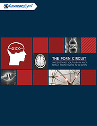 porn circuit book cover