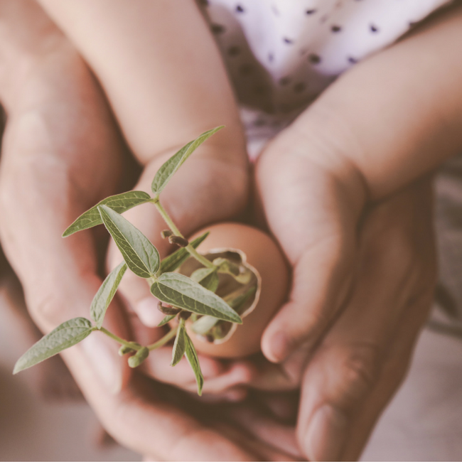mother and childs hands hold a new plant