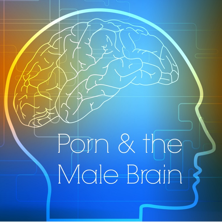 Porn and the Male Brain
