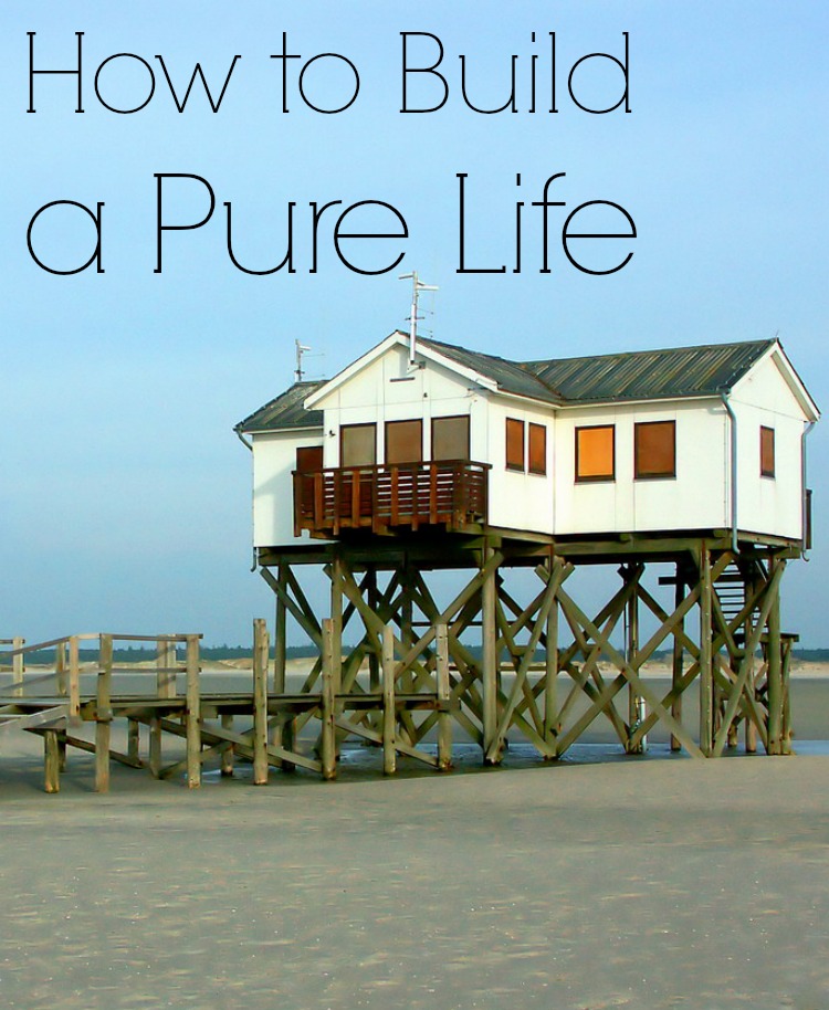 How to Build a Pure Life