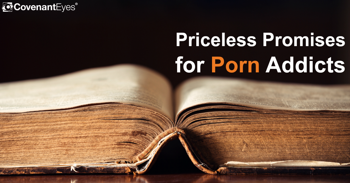 Priceless Promises for Porn Addicts