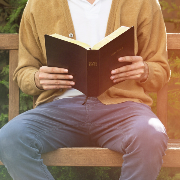 man reading bible on bench