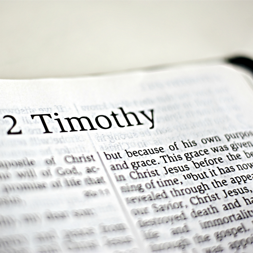 2 Timothy 2-22