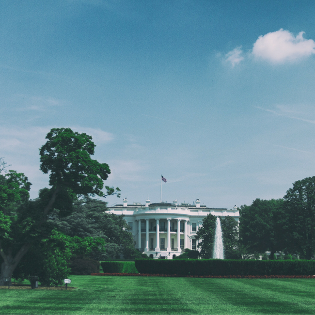 white house and lawn