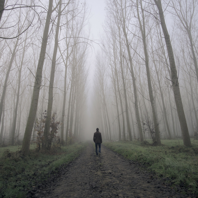 man walking through woods alone