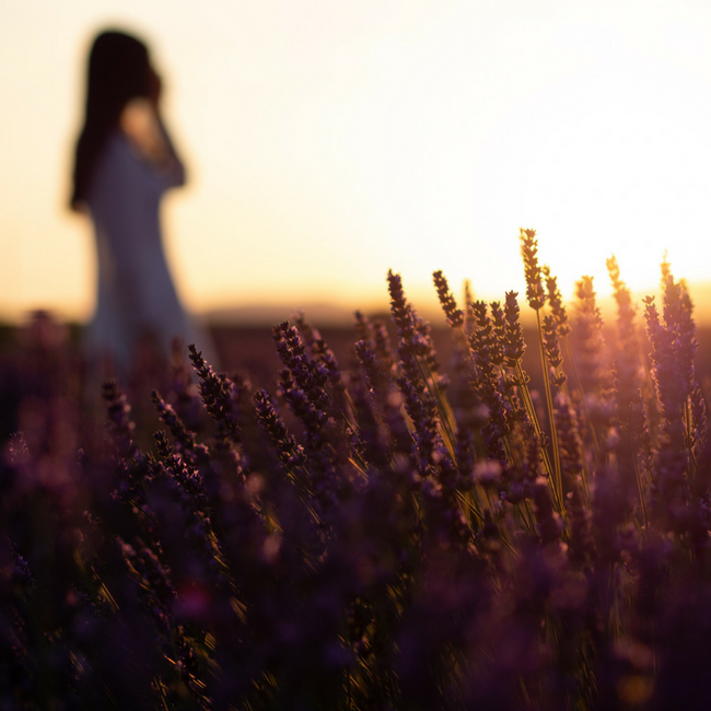 distant woman walking through field at sunrise