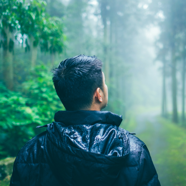 man walking on misty forest trail