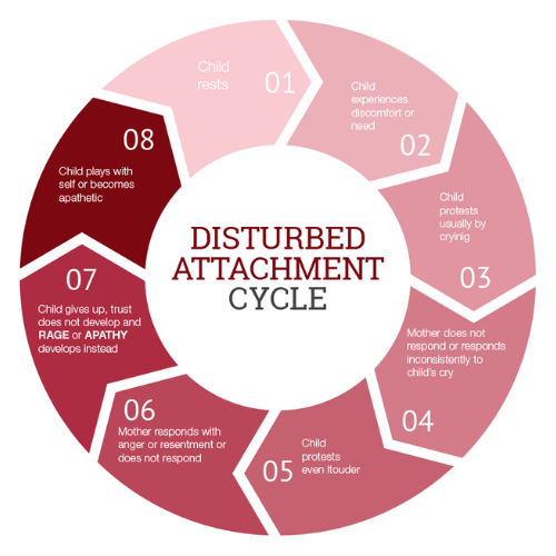 disturbed attachment cycle diagram