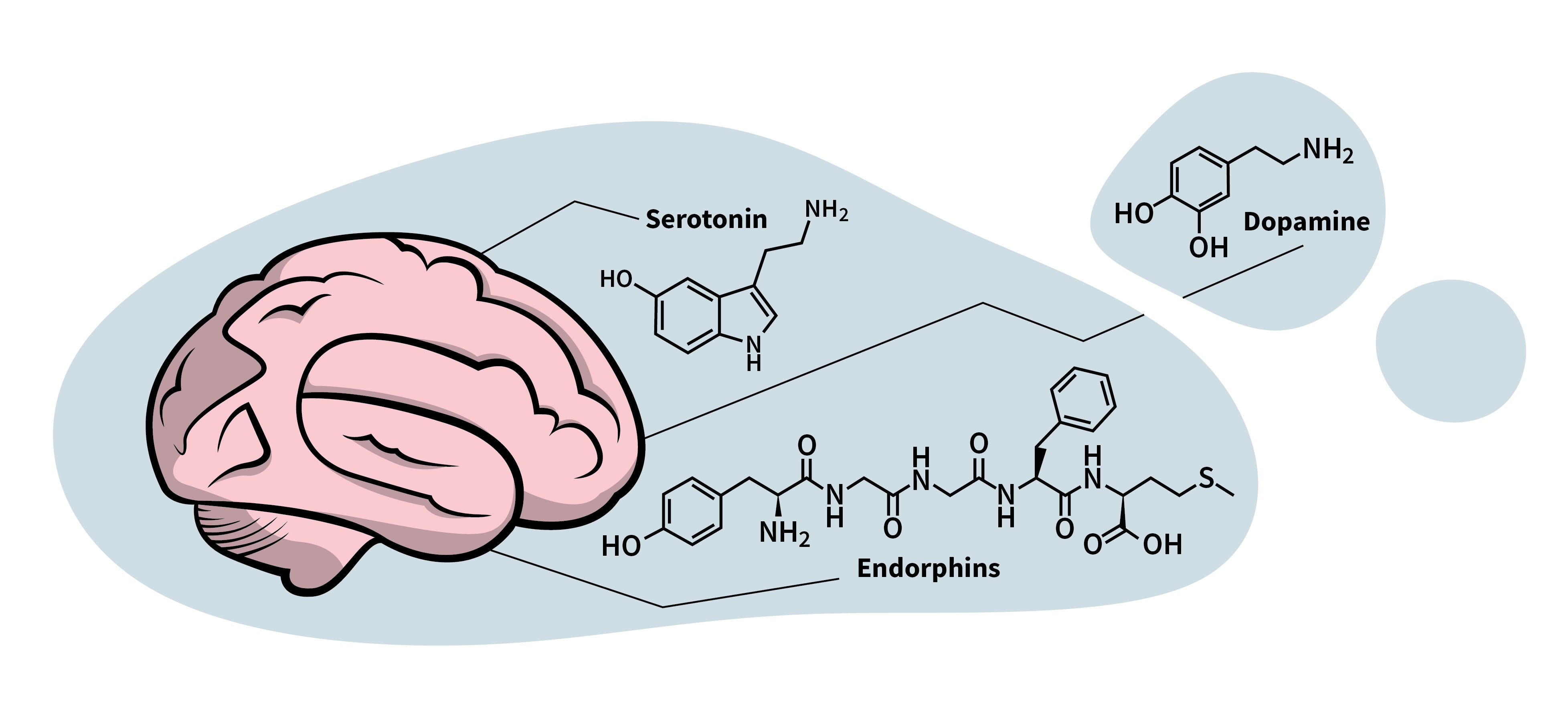 Brain mapping with the chemical formulas