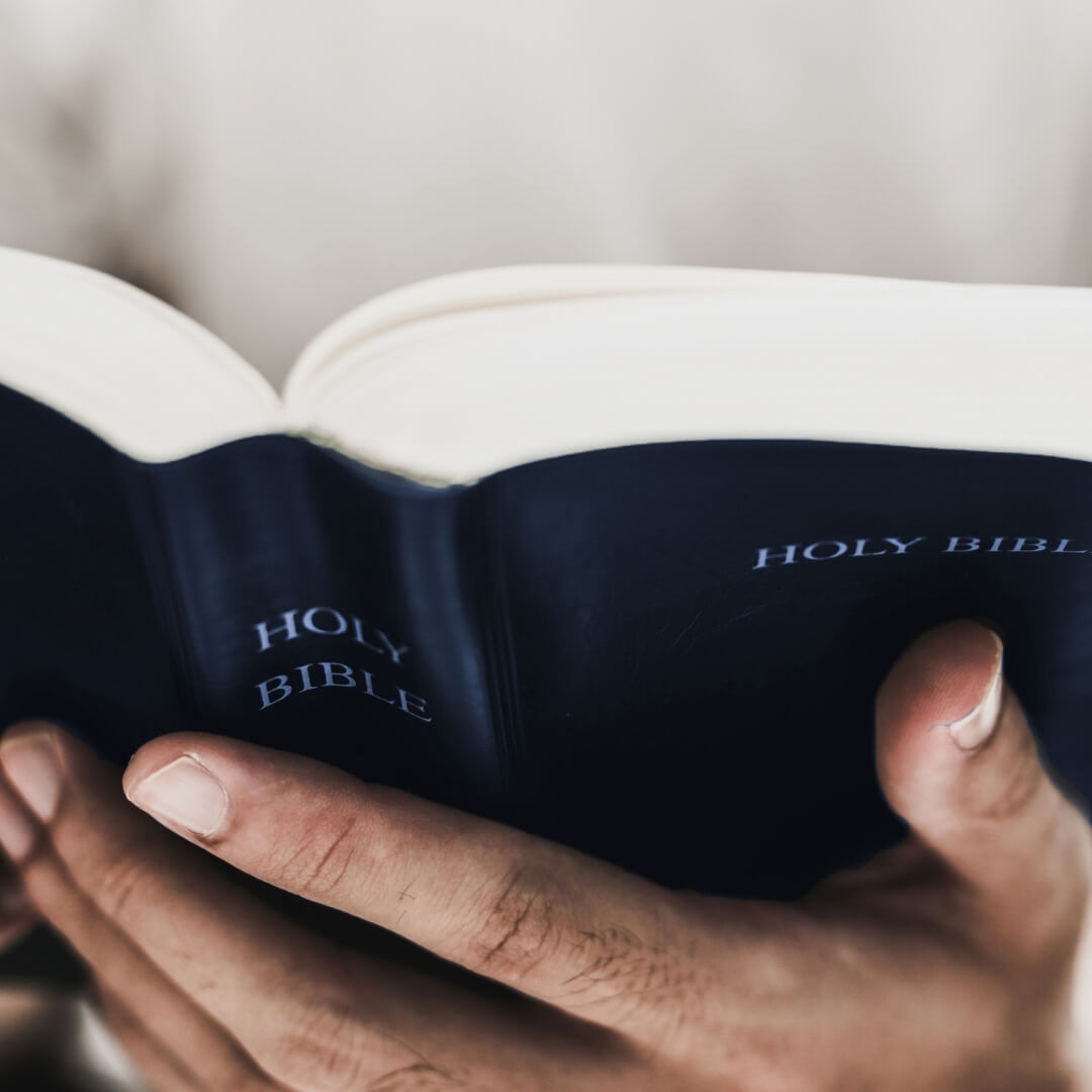 hands holding an open bible
