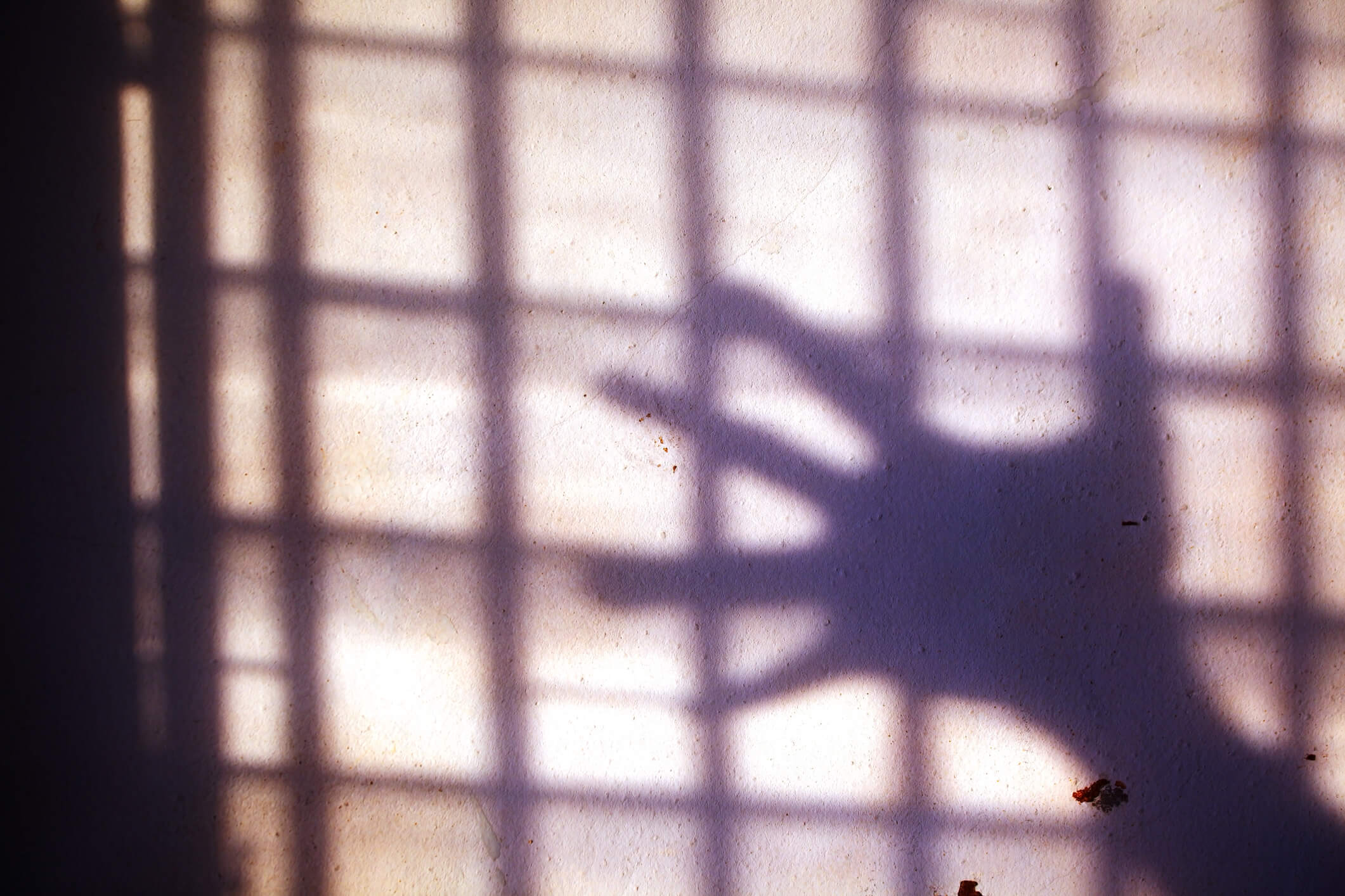 Silhouette of a hand in captivity.