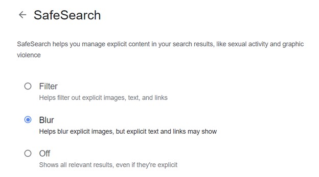 Google safe search settings.