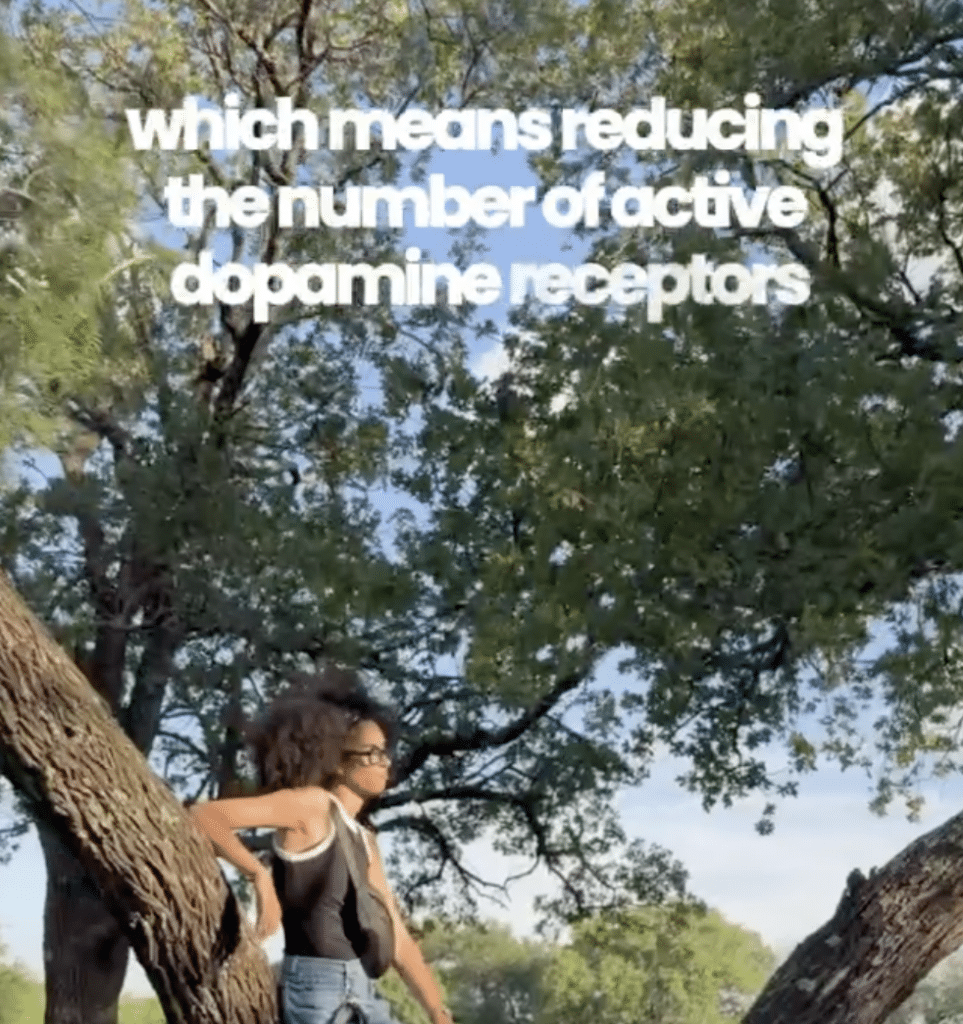 which means reducing the number of active dopamine receptors